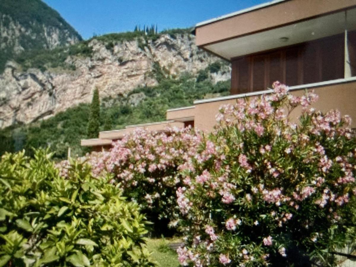 Appartamento Peppino Mit Seeblick Und Pool Рива-дель-Гарда Екстер'єр фото